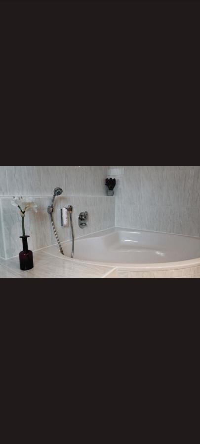 Self Checkin Hotel Heckenrose Lorin Ringsheim Eksteriør billede